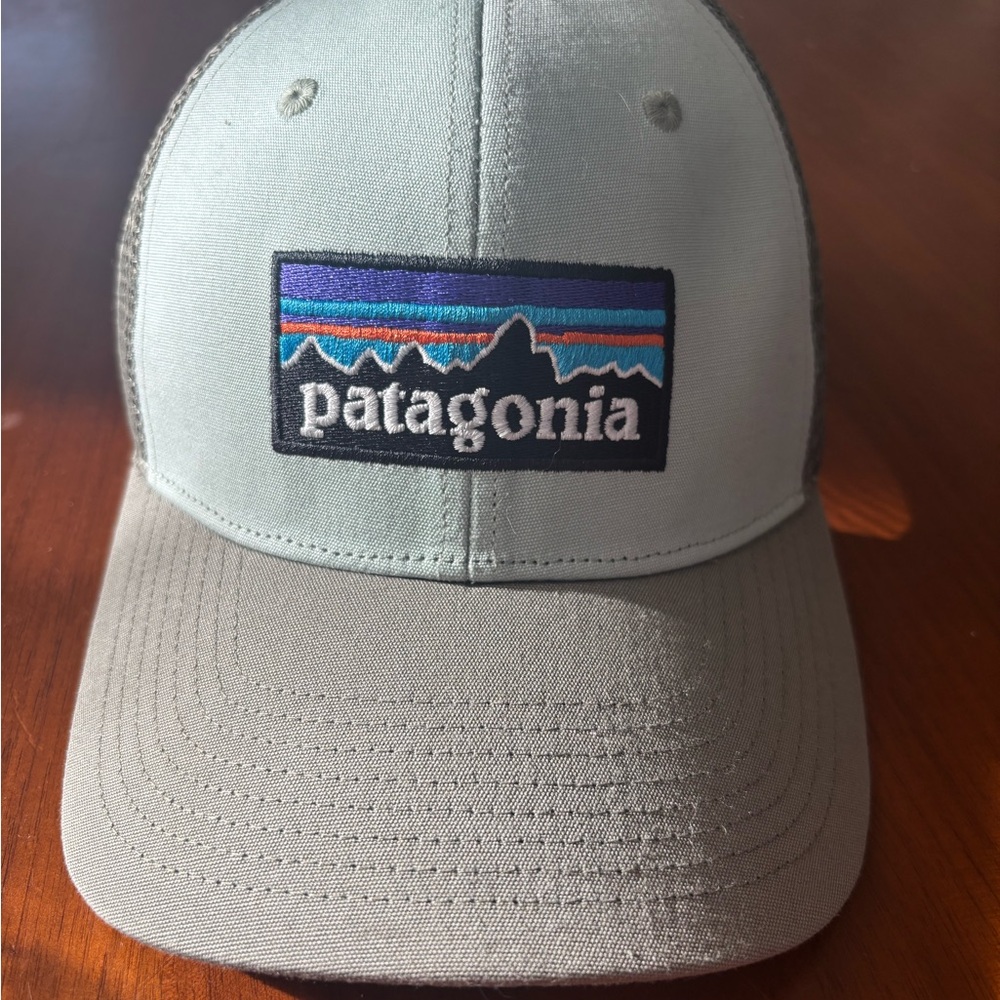 Patagonia Light Gray Green Trucker Hat